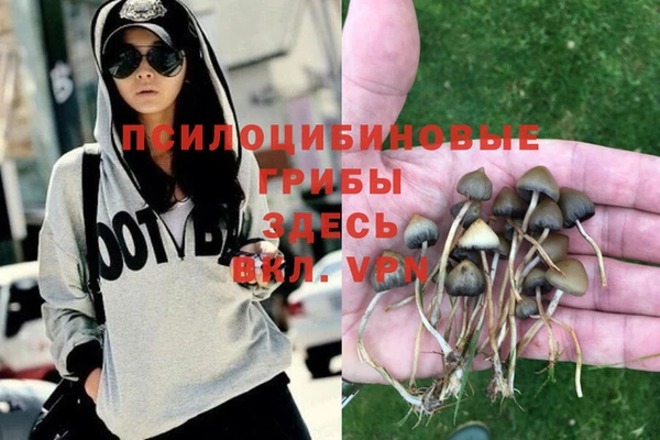 мяу мяу мука Балахна